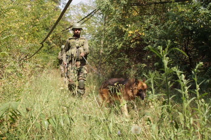 Security Forces Launch Search Ops In J&K’s Kishtwar, Poonch Over Reports Of Possible Terrorist Movement