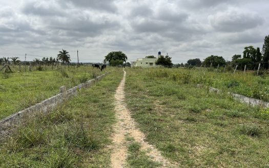 No Kashmiri Migrants’ Land Acquired in Violation of Law: Deputy CM Surinder Choudhary